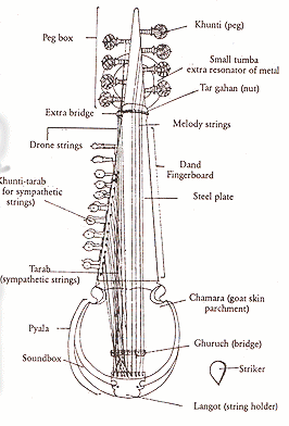 Sarod